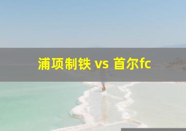 浦项制铁 vs 首尔fc